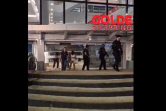 Feminicídio no shopping: Veja momento em que policiais de São Bernardo deixam local