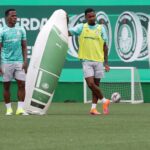 Palmeiras Abel Ferreira Paulistao