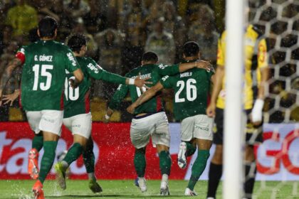 Palmeiras