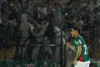 Palmeiras