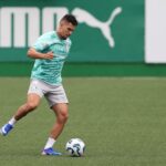 Palmeiras Paulinho