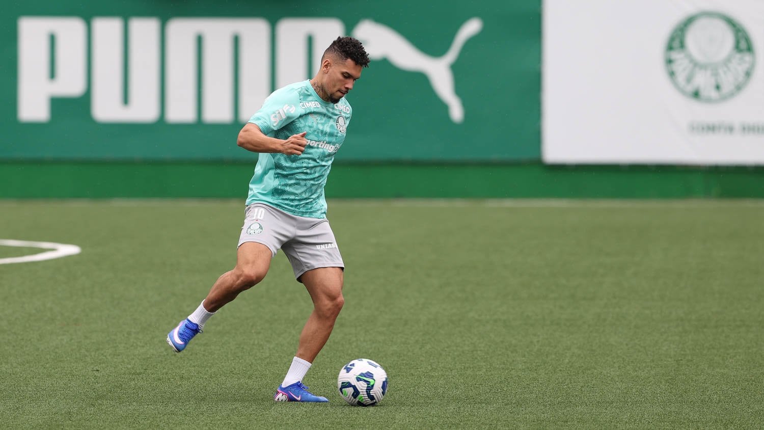 Palmeiras Paulinho