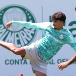 Palmeiras