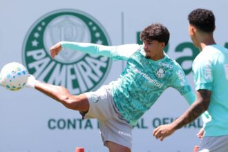 Palmeiras