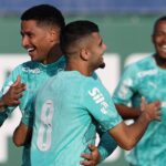 Palmeiras