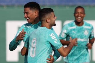 Palmeiras