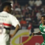 Palmeiras