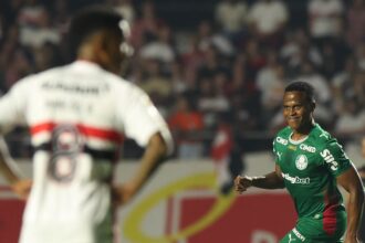 Palmeiras