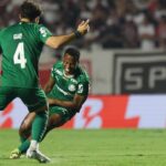 Palmeiras