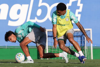Palmeiras