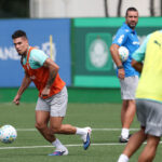 Palmeiras Paulinho