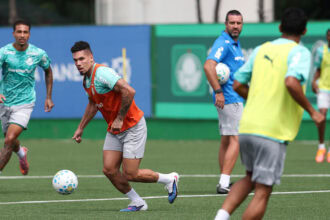 Palmeiras Paulinho