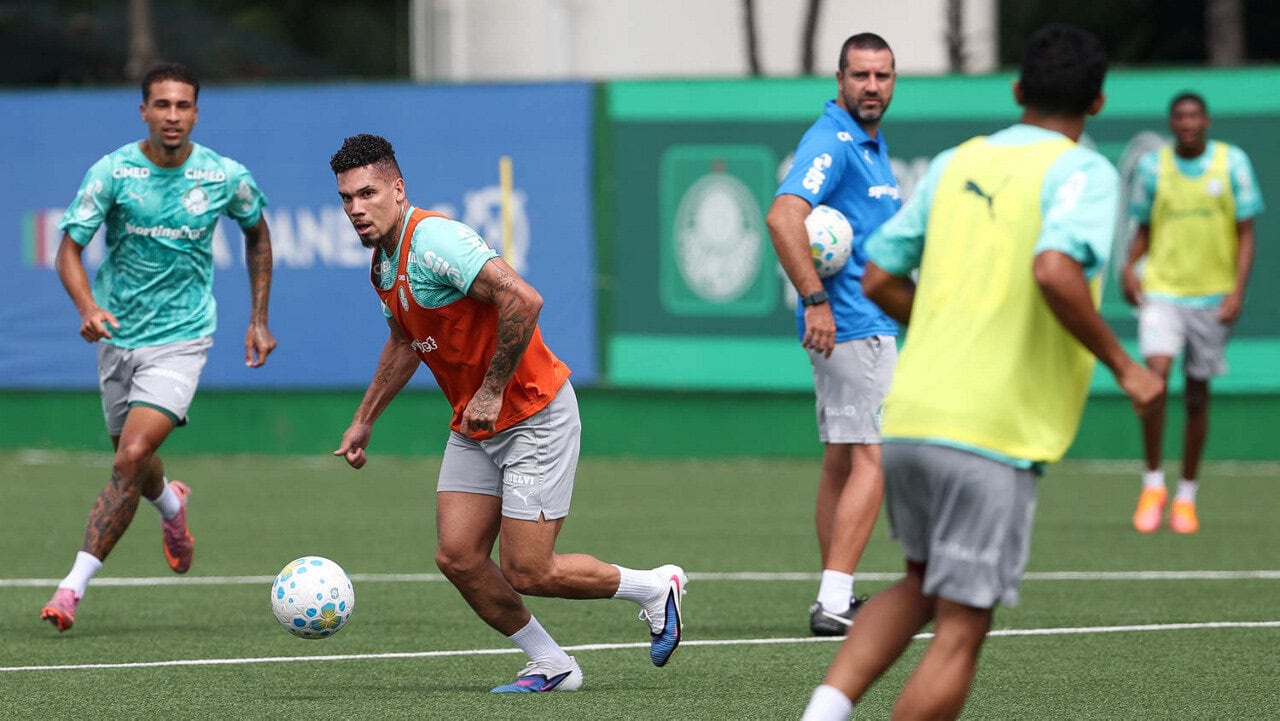 Palmeiras Paulinho