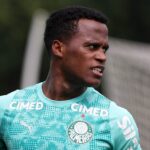 Palmeiras Arias