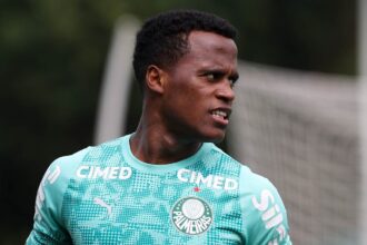 Palmeiras Arias