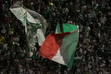 Palmeiras