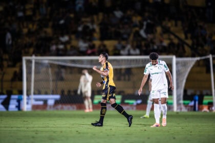 Palmeiras