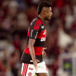 Bruno Henrique Palmeiras
