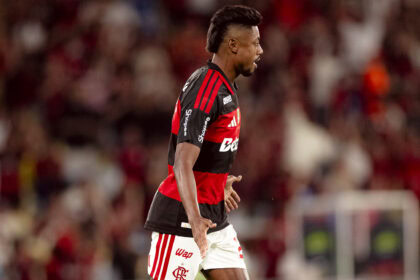 Bruno Henrique Palmeiras