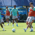Palmeiras