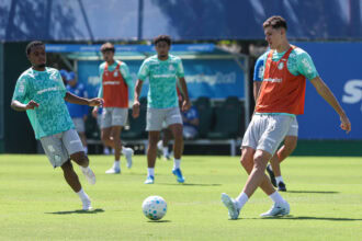 Palmeiras