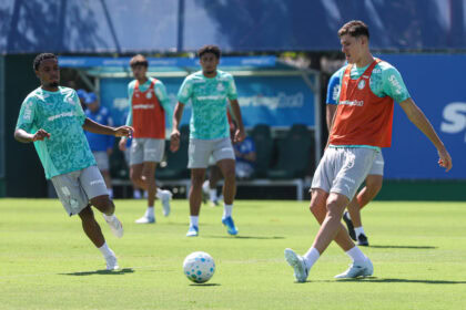Palmeiras
