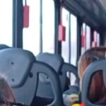 Calopsita e tutora encantam passageiros na linha 196 em São Bernardo