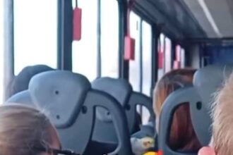 Calopsita e tutora encantam passageiros na linha 196 em São Bernardo