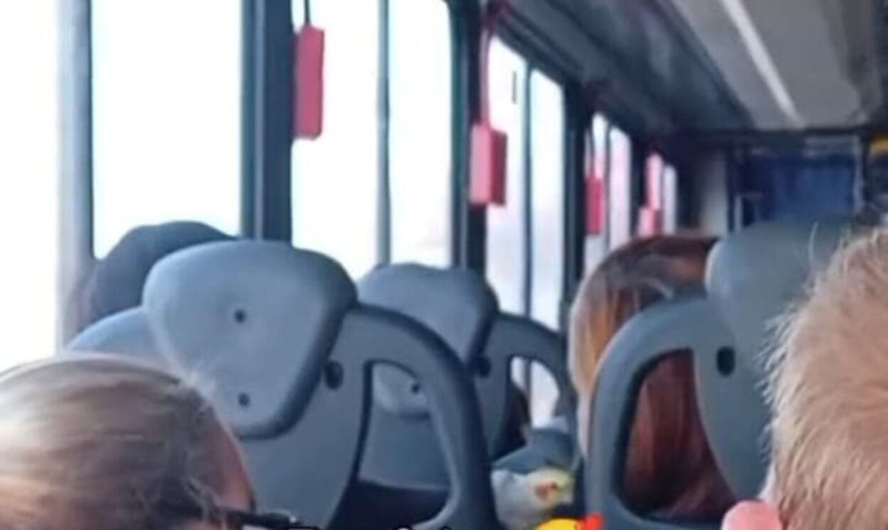 Calopsita e tutora encantam passageiros na linha 196 em São Bernardo