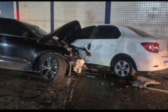 Idoso de 77 anos morre após motorista sofrer mal súbito e colidir contra árvore em Santo André