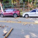 Queda de árvore na Cidade da Criança atinge carros e assusta moradores em São Bernardo