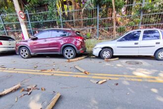 Queda de árvore na Cidade da Criança atinge carros e assusta moradores em São Bernardo