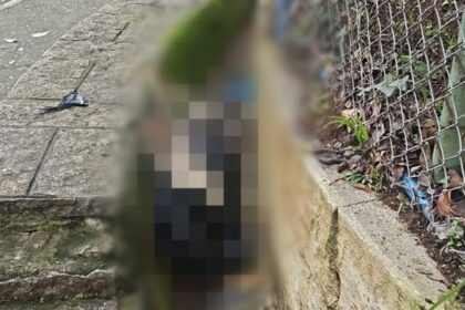 Animal é encontrado decapitado e com sinais de tortura em frente ao IML de São Bernardo