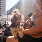 Prefeitura de São Bernardo inicia mutirão de castração gratuita de cães e gatos neste sábado