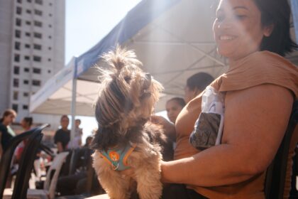 Prefeitura de São Bernardo inicia mutirão de castração gratuita de cães e gatos neste sábado