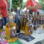 Festival do Cambuci terá nova edição em abril no Parque Salvador Arena