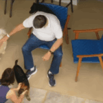 Bolsonaro brinca com cachorros ao iniciar prisão domiciliar após alta hospitalar