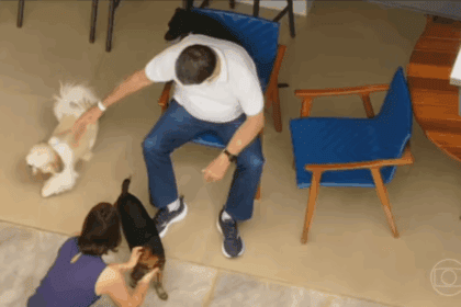 Bolsonaro brinca com cachorros ao iniciar prisão domiciliar após alta hospitalar