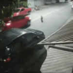 Milagre em São Bernardo: Câmera flagra momento em que carro atropela pitbull e motorista foge