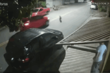 Milagre em São Bernardo: Câmera flagra momento em que carro atropela pitbull e motorista foge