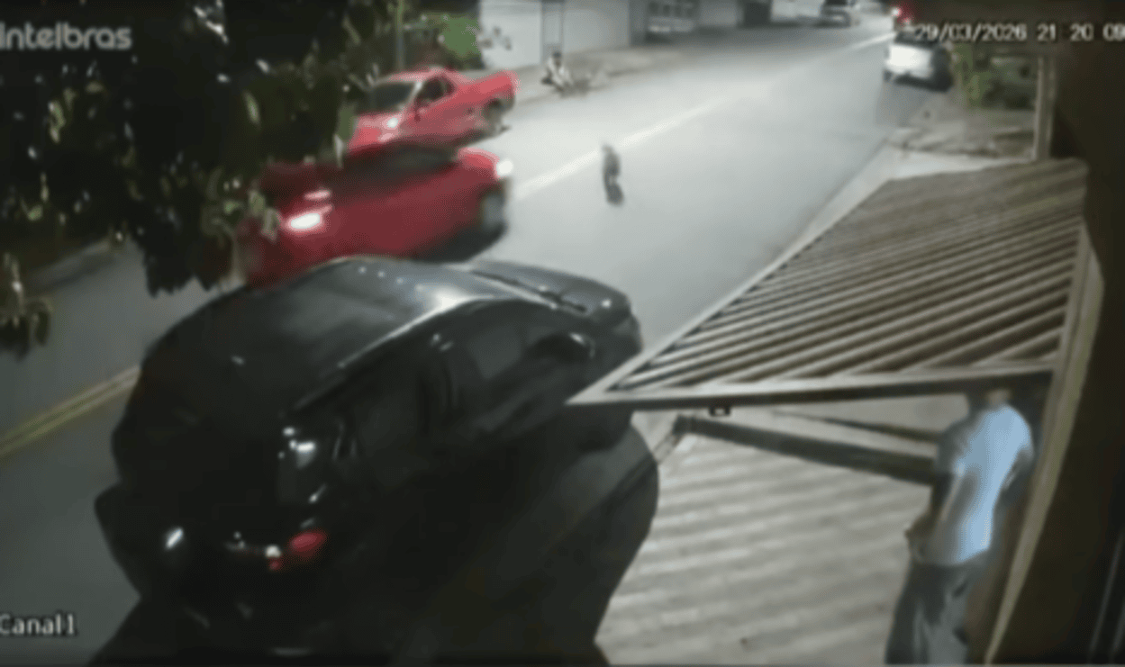 Milagre em São Bernardo: Câmera flagra momento em que carro atropela pitbull e motorista foge 