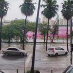 Temporal em São Paulo: Córregos transbordam e carros boiam na Zona Sul