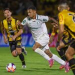 Palmeiras x Novorizontino Transmissoes