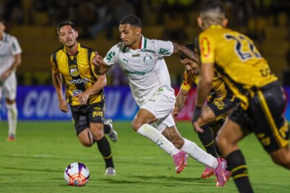 Palmeiras x Novorizontino Transmissoes