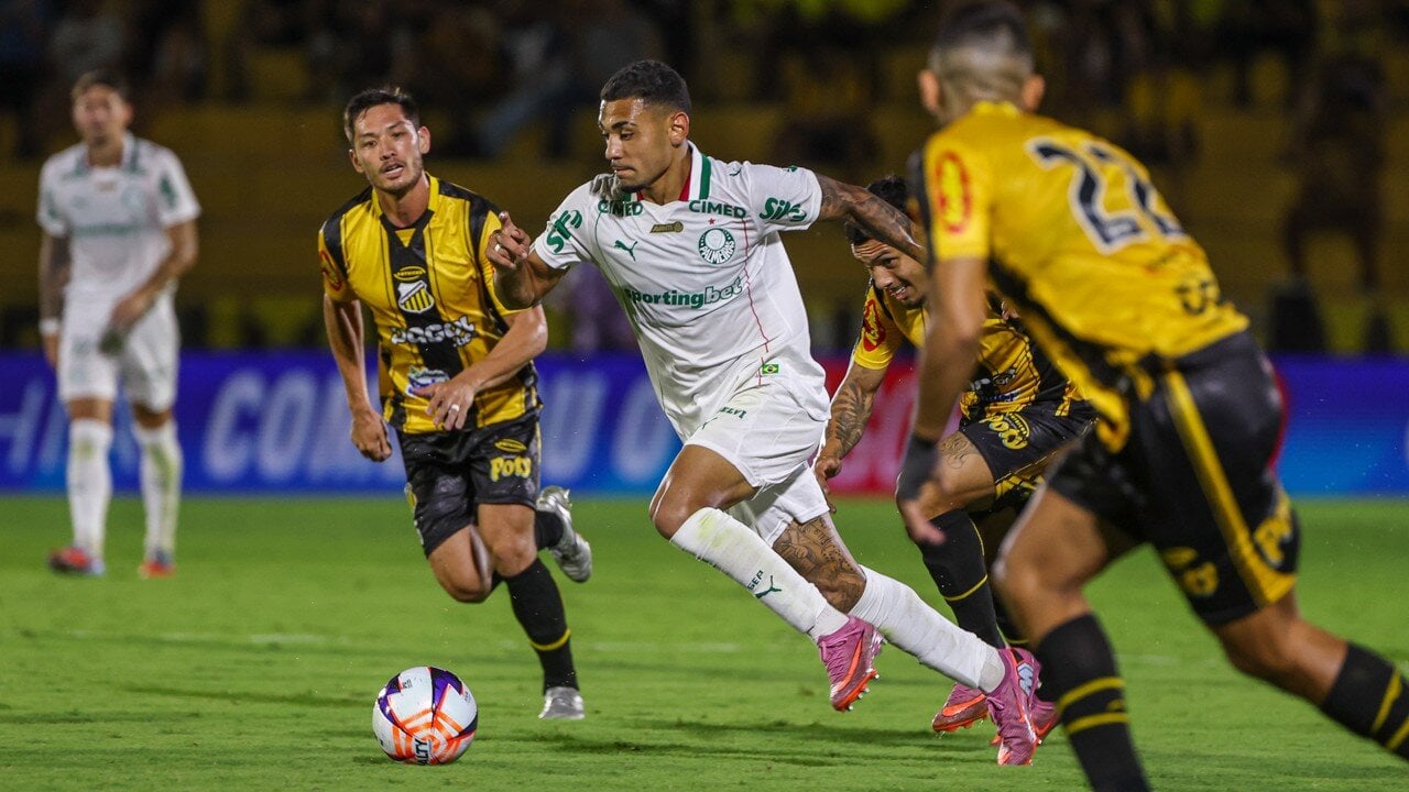 Palmeiras x Novorizontino Transmissoes