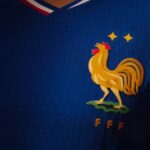 Francesa Seleção Brasileira