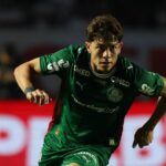 Palmeiras Giay