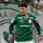 Palmeiras Gómez