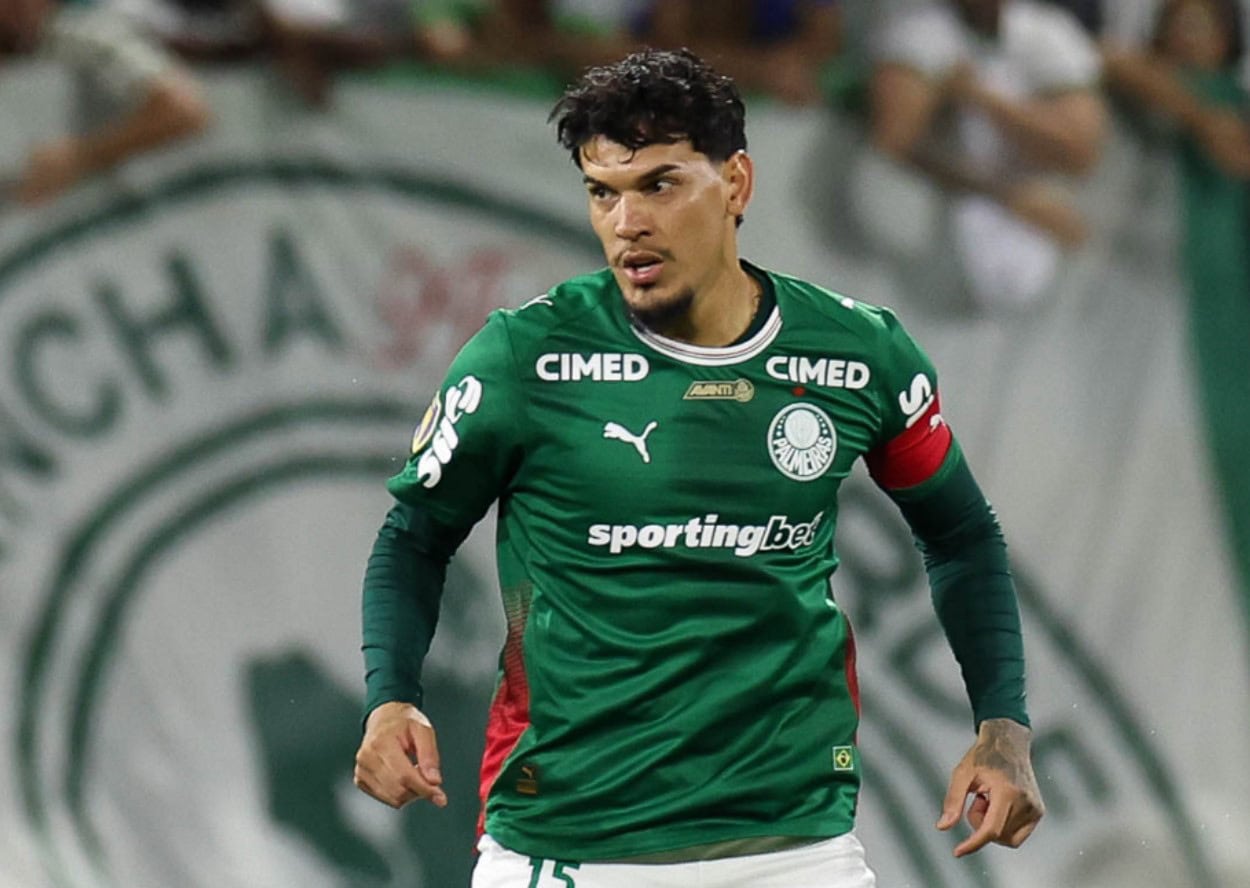 Palmeiras Gómez
