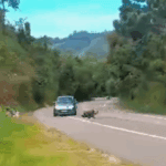 Motociclista de 49 anos morre após perder o controle e colidir com carro na SP-095, em Tuiuti